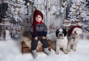 julfotografering-eva-bergenhem fotograf linköping